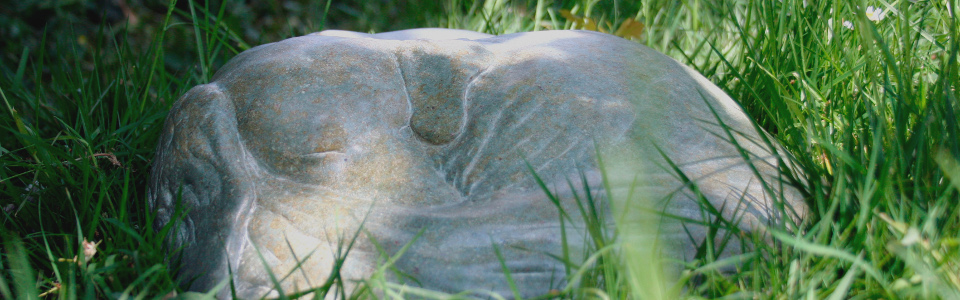 Living Stone Sculpture